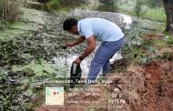Pond Cleaning to celebrate World Water Day